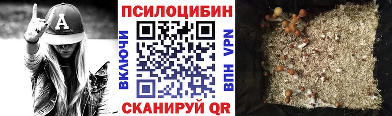 даркнет сайт Долгопрудный Псилоцибиновые грибы Cubensis