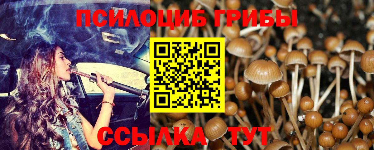 Галлюциногенные грибы GOLDEN TEACHER Долгопрудный